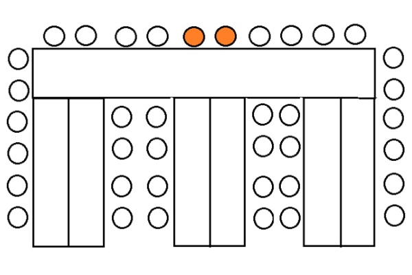 rassadka-gostei-na-svadbe-5