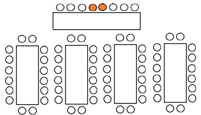 rassadka-gostei-na-svadbe-7